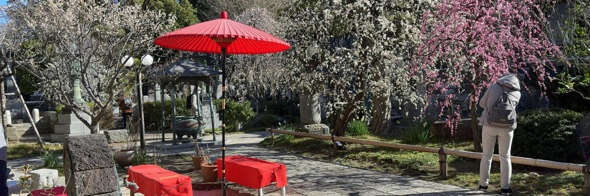 今月のPhoto 2026年2月 増田